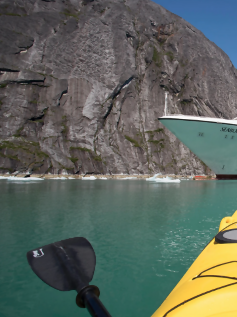 Ventures by Seabourn Give Guests a New Point of View on Luxury Cruises in Alaska